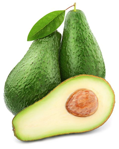 Zutano Avocado